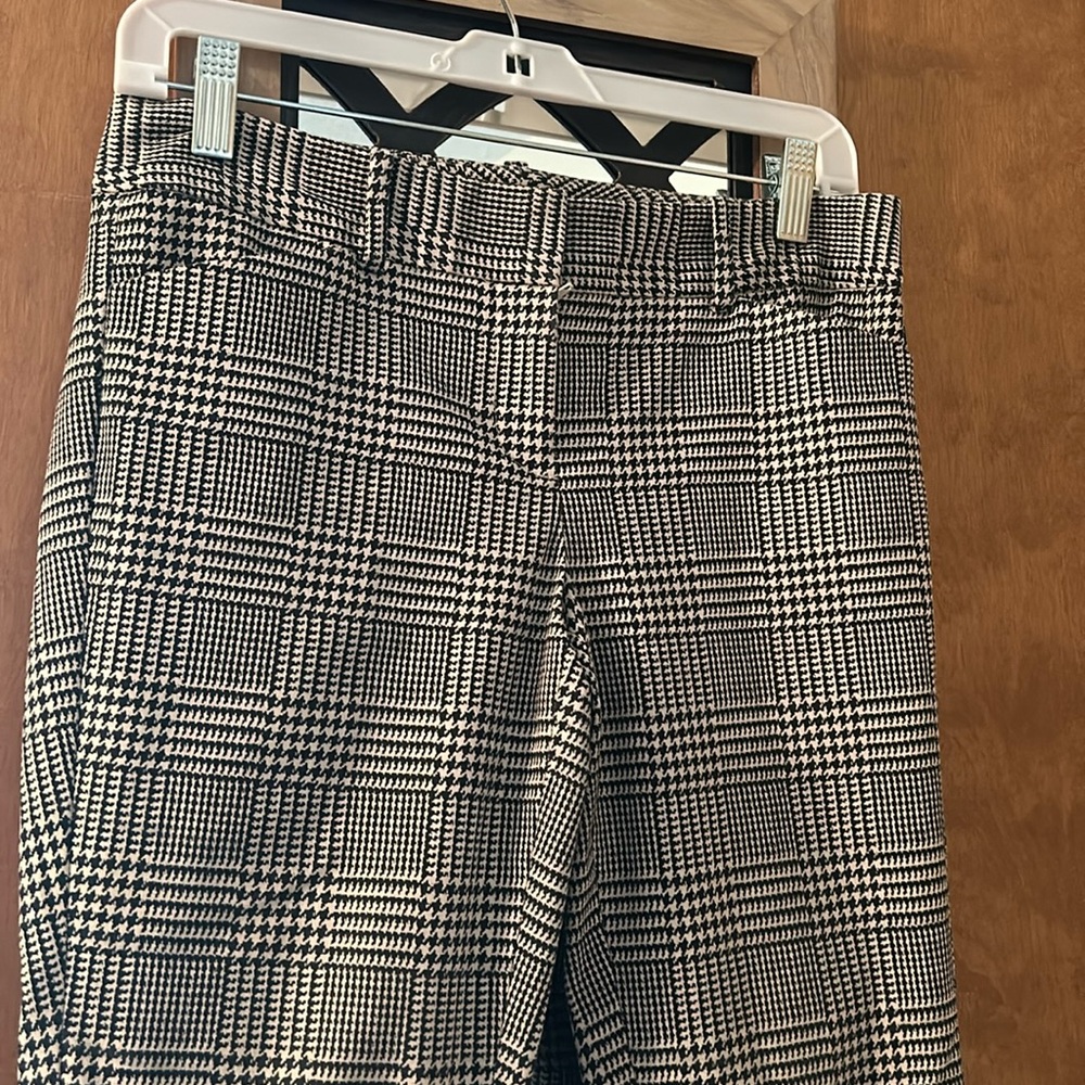 The Limited pants